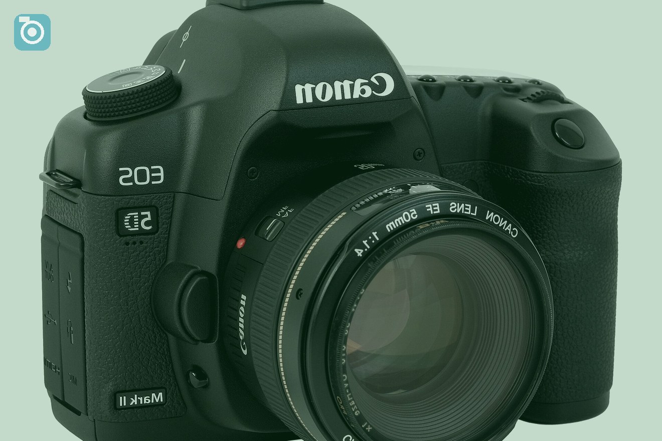 real cameras lenses photo equipment
